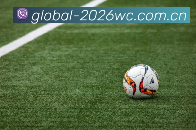 FIFA官方授权证书