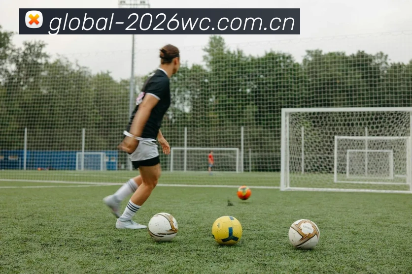 FIFA 官方数据授权认证